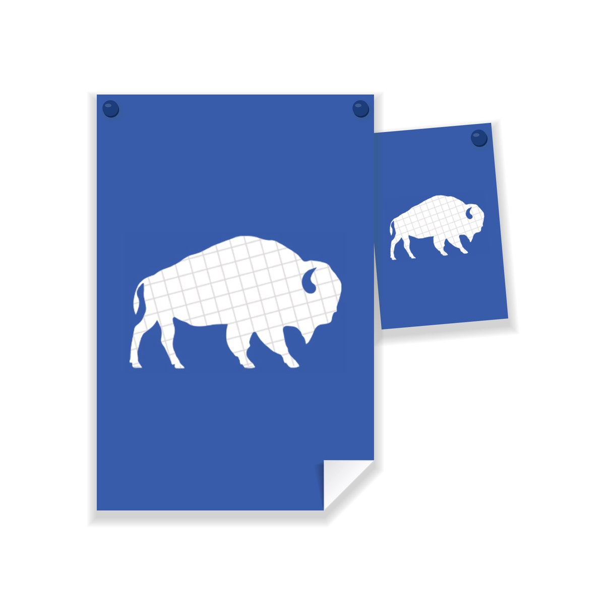 Custom posters, a 24 x 36 and an 11 x 17