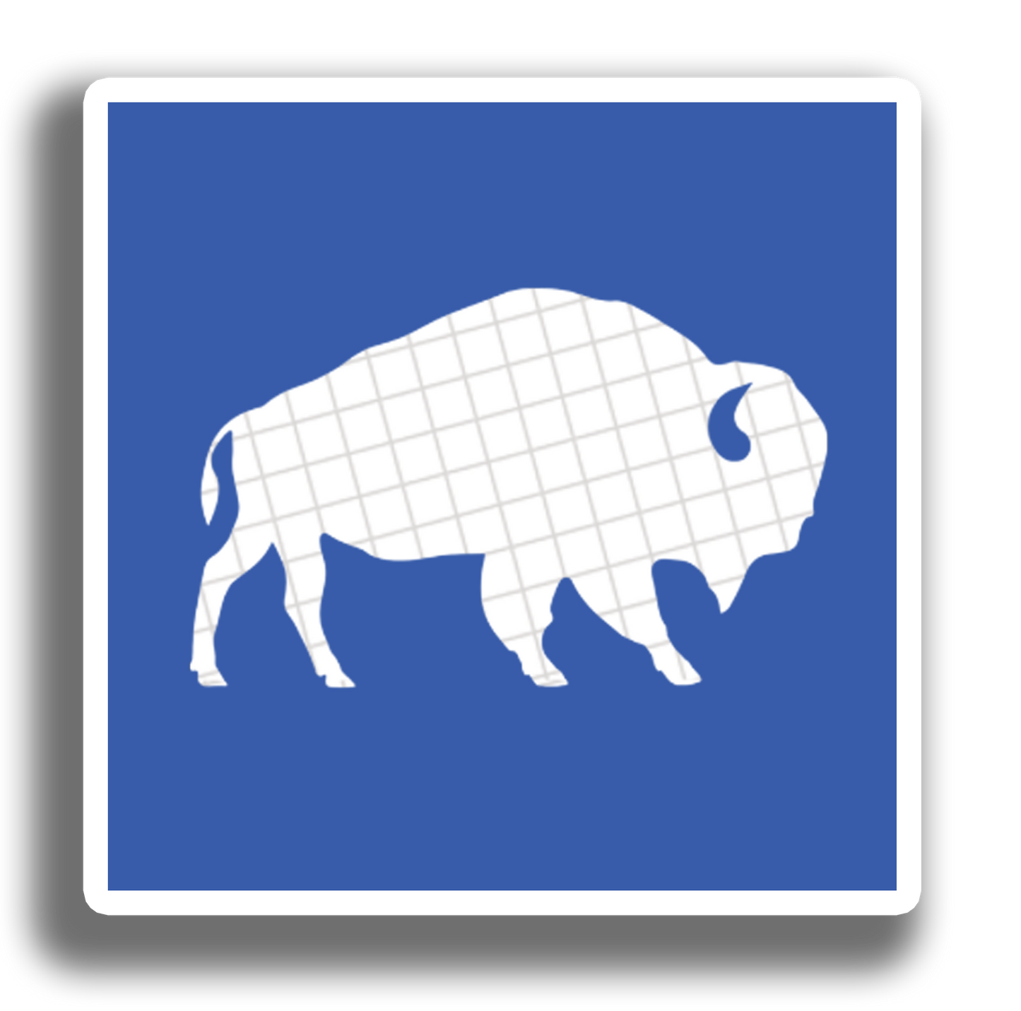 Square (Custom Size)